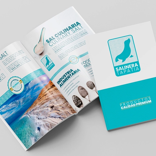 Diseño de logotipo y desarrollo de marca.